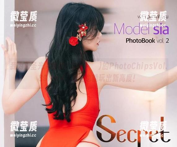 我为无圣光而喝彩！Sia(시아)的PhotoChipsVol.89No.4，套图也能玩出新高度！-微莹质