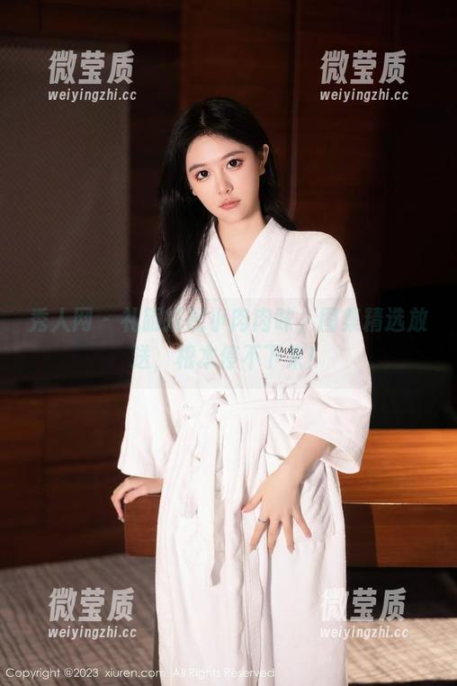 秀人网 - 礼服搭配小肉肉咪，图集精选放送，根本停不下来！-微莹质