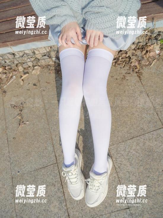 紧急企划 - 一只喵喵梓的居家风暴：图库分享中的小插曲-微莹质